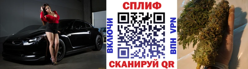МЕФ Малая Вишера