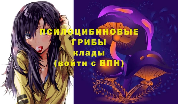 дурь Аркадак