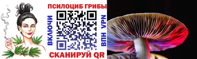 купить  сайты  Малая Вишера  Галлюциногенные грибы мицелий 